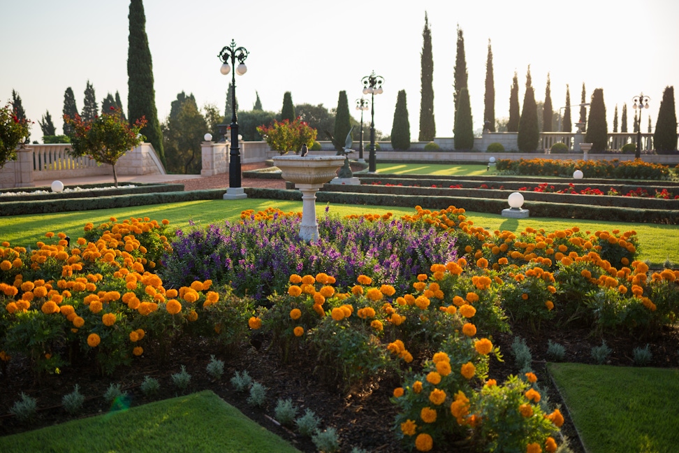 Gardens on terrace eleven 