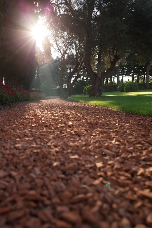 A path near the Haifa Pilgrim House 