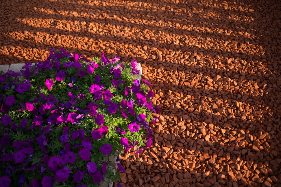 A path near the Shrine of the Báb 