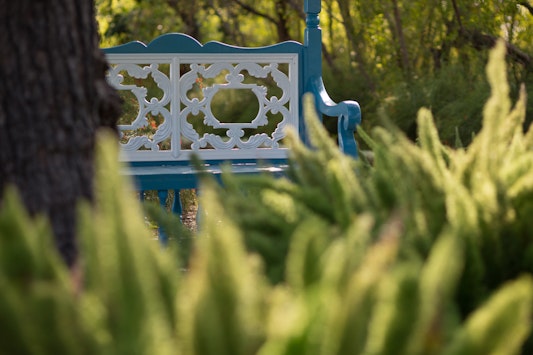 Bench at the Riḍván Garden 