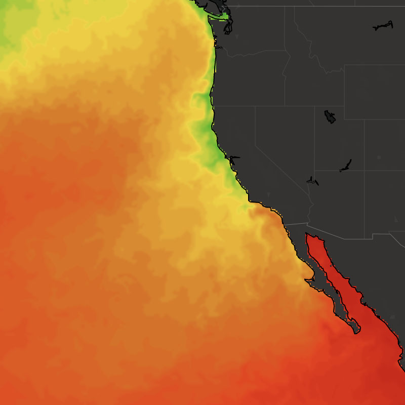 Sea Surface Temperatures