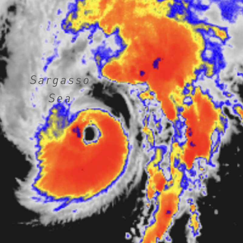 Infrared Color Satellite