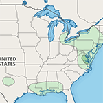 Convective Outlook