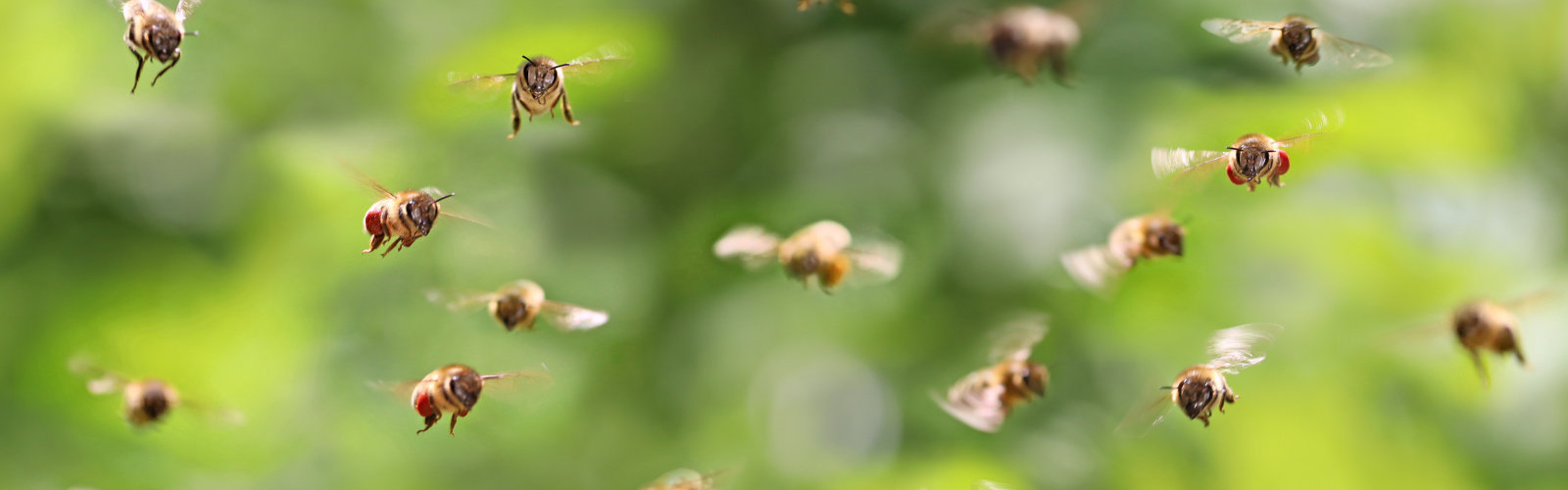Blog post banner