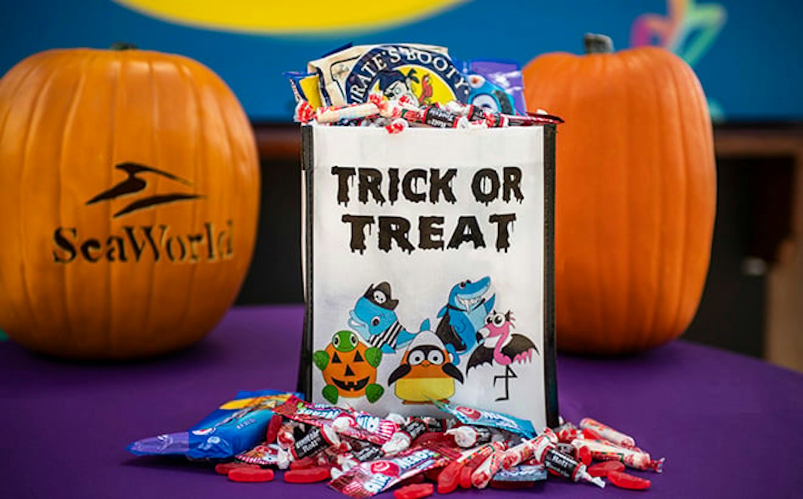 Cover Image for SeaWorld Orlando’s Halloween Spooktacular Returns September 19