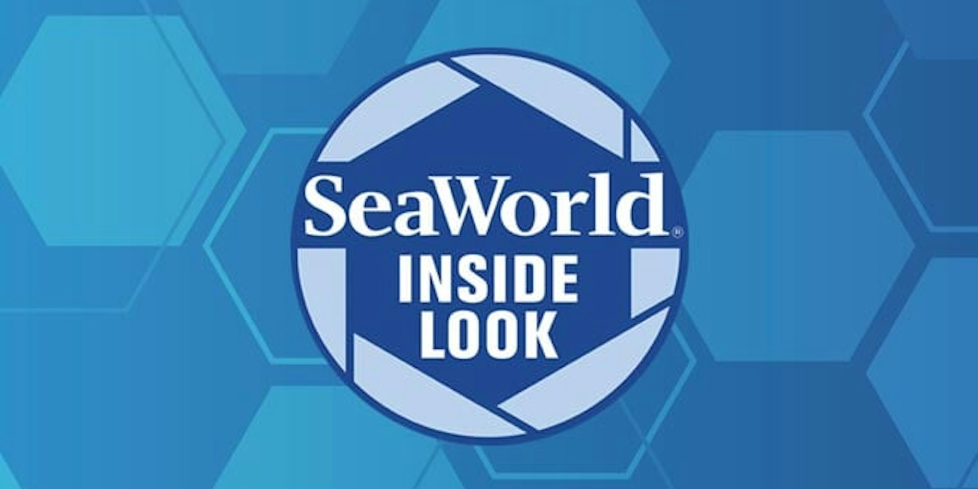 Cover Image for Inside Look at SeaWorld Orlando