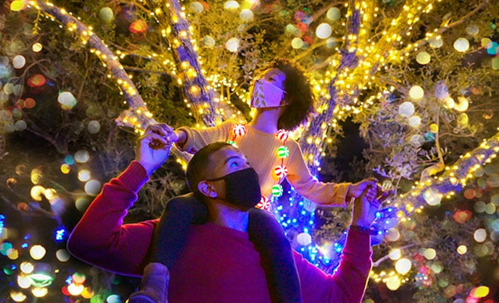 Cover Image for SeaWorld Orlando’s Christmas Celebration