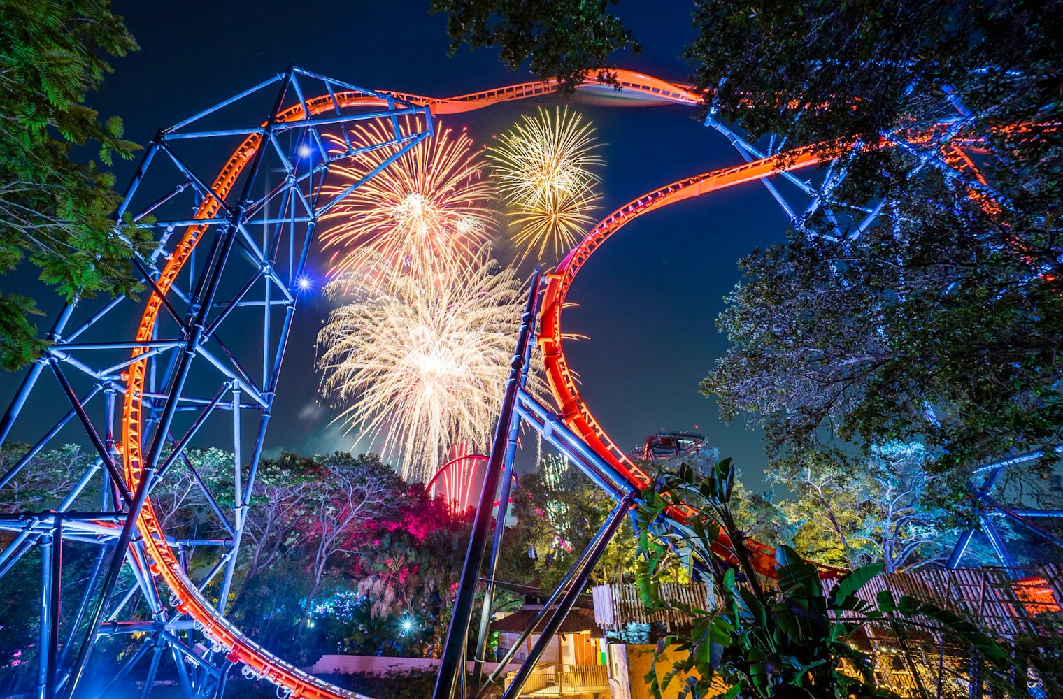 Cover Image for Summer Nights 2023 Begins at Busch Gardens Tampa