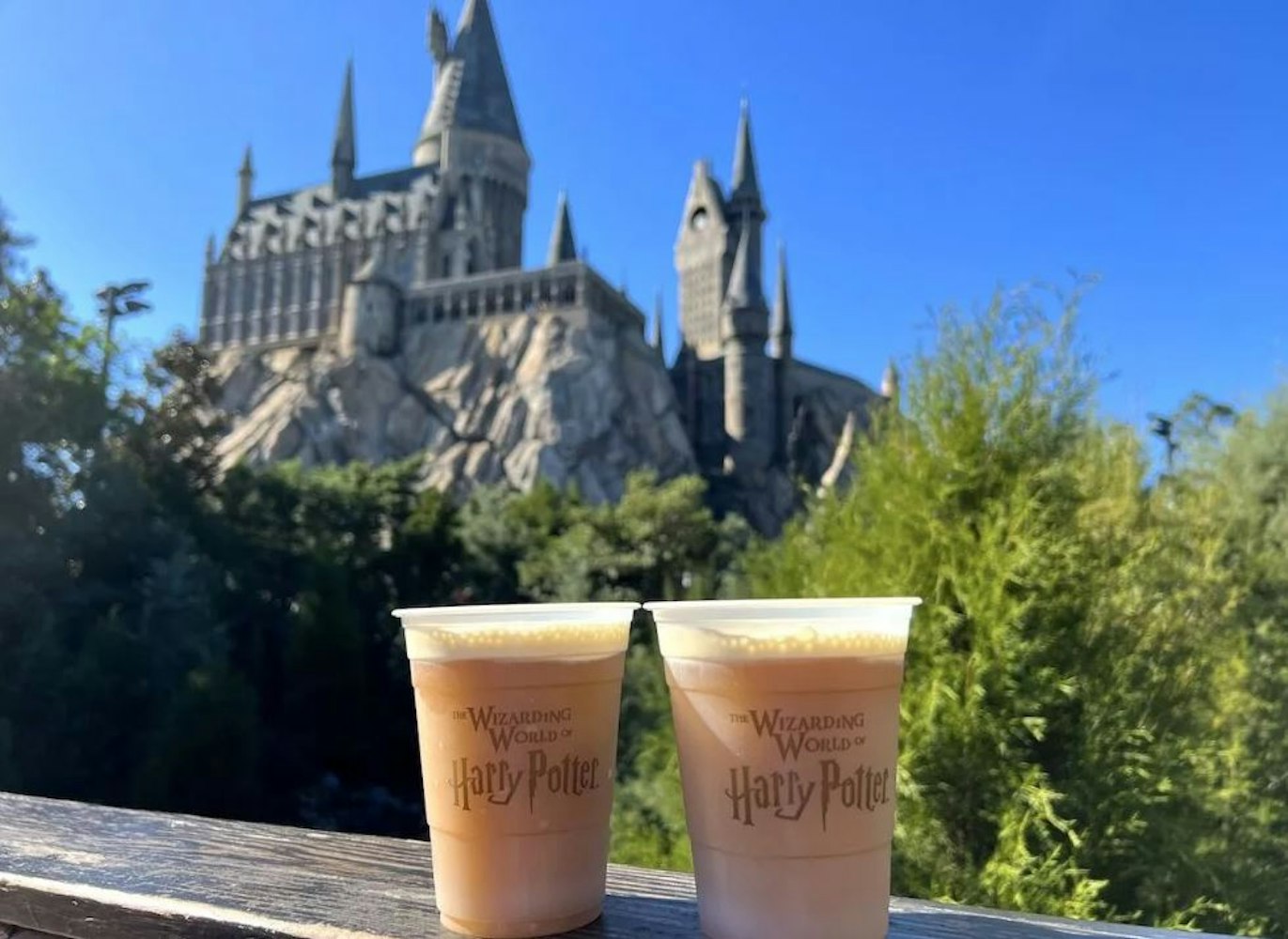Cover Image for Guide to Universal: First Timer's Guide