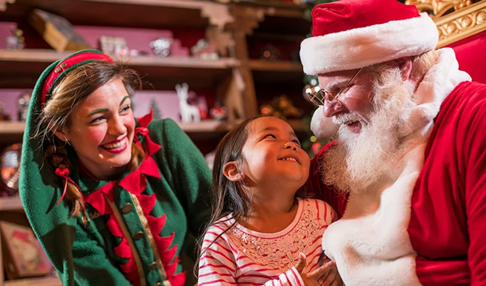 Cover Image for Christmas Town is Taking Over at Busch Gardens Tampa