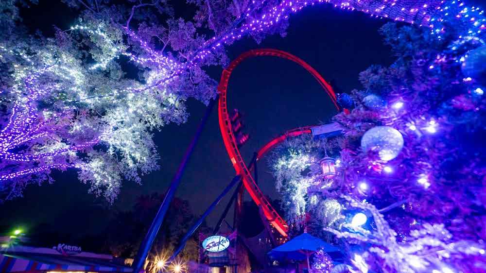 Christmas Lights on Trees by SheiKra at Busch Gardens