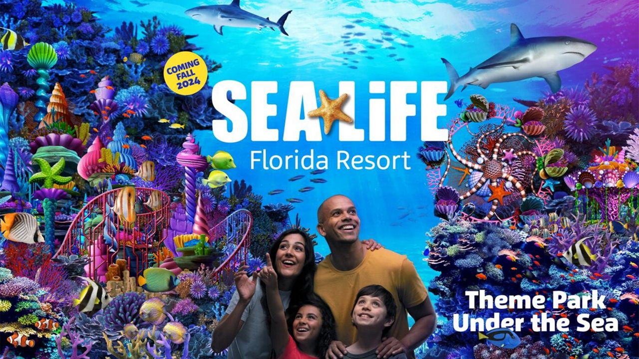 SEA LIFE Florida Promo with Family "Underwater"