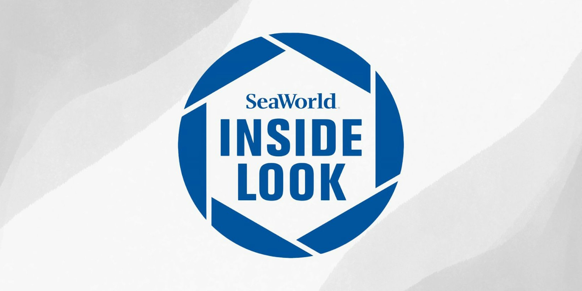 Cover Image for SeaWorld Orlando’s Inside Look Returns for 2024