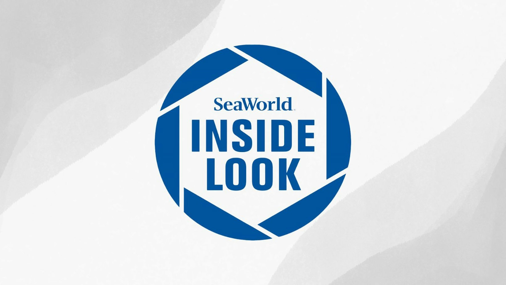 Cover Image for SeaWorld Orlando’s Inside Look Returns for 2024
