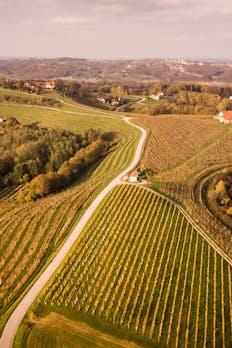 odkrivanje narave ptuj