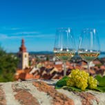 Wine Ptuj