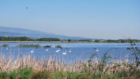 Sestrško Lake