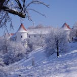 Hrastovec Castle