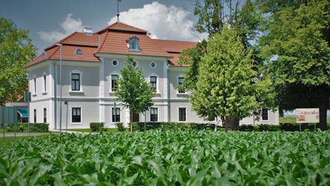 Manor Strnišče