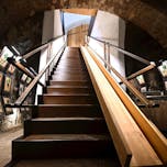 Muzej najstarejše trte