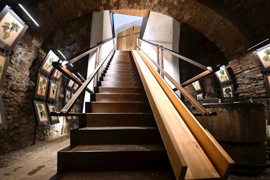 Muzej najstarejše trte