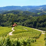 Heart Among the Vineyards