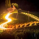 Heart among the Vineyards