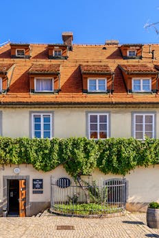 Najstarejša trta na svetu