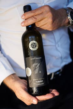 Puklavec Family Wines