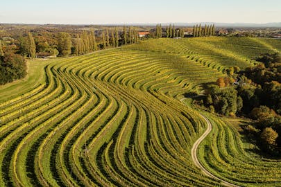 Puklavec Family Wines