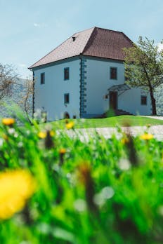 Vinogradniški dvorec