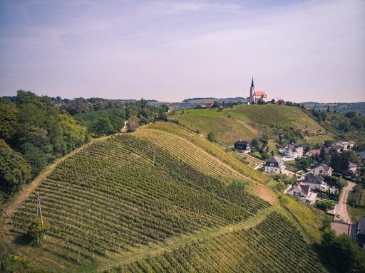 Hiša Joannes Protner