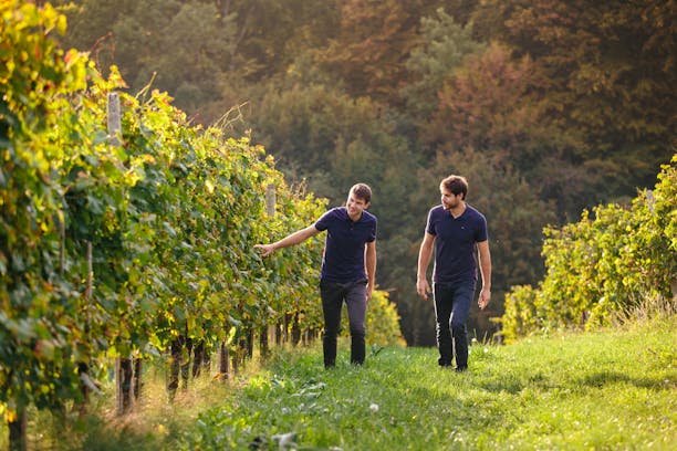 Vinogradniška kmetija Ratek