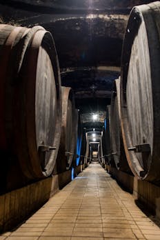 Vinagova klet Maribor