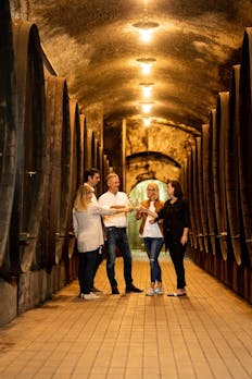 Vinagova klet Maribor