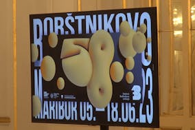 Festival Borštnikovo srečanje