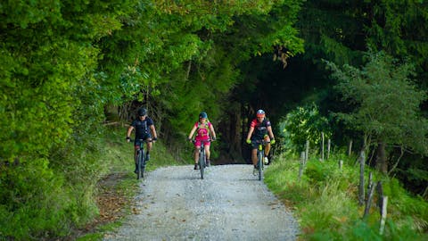 Kolesarjenje na Pohorju