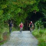 Kolesarjenje na Pohorju