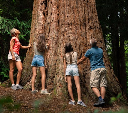 Botanični vrt Pivola