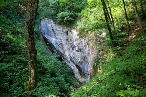 kraška jama Belojača