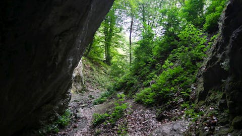 kraška jama Belojača