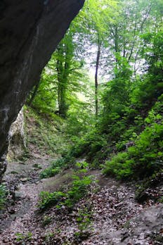 Karst Cave Belojača