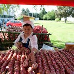 Dornava - Lukarski praznik v Dornavi