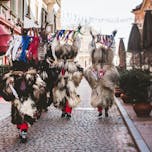 Kurentovanje Carnival