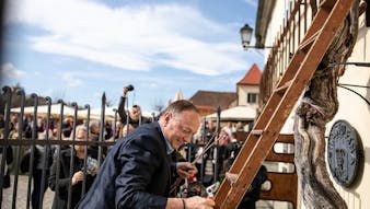 Maribor - Rez najstarejše trte