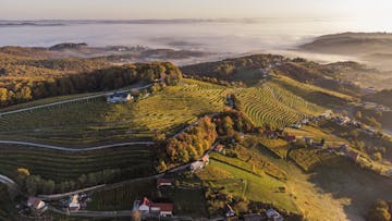 Vinorodna Štajerska