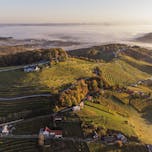 Vinorodna Štajerska