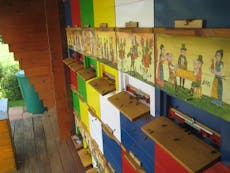 Vogrinčič Beekeeping