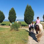 Ravno polje - nazaj na konja