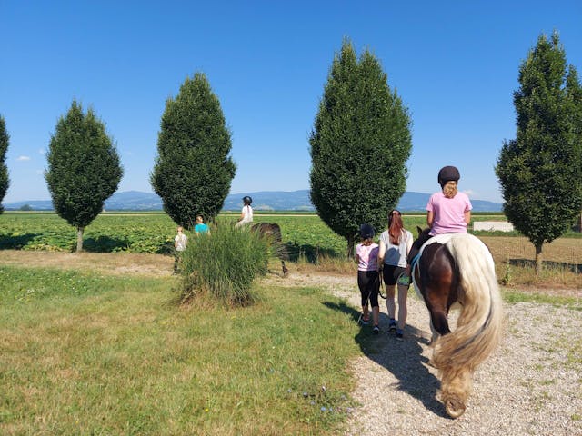 Back to the Horse Institute